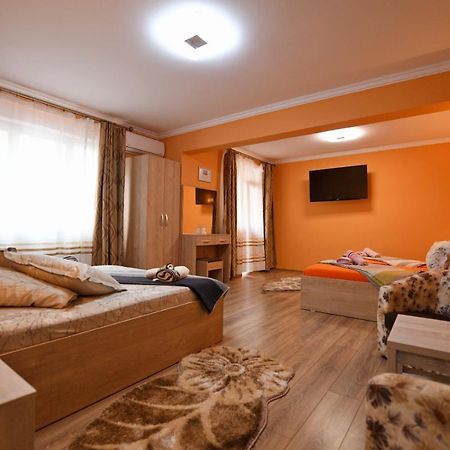 Apartament Trident Haţeg Extérieur photo
